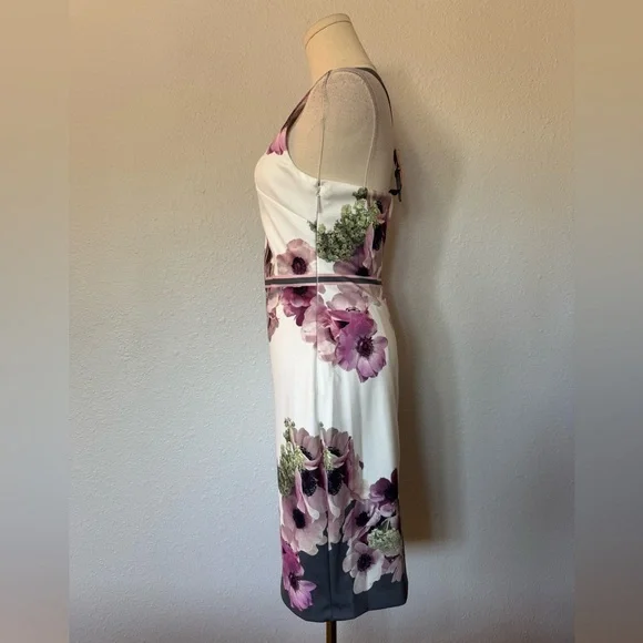 NWT Ted Baker Nanina Neapolitan Print Floral Sheath Dress size 4 - Picture 6 of 17